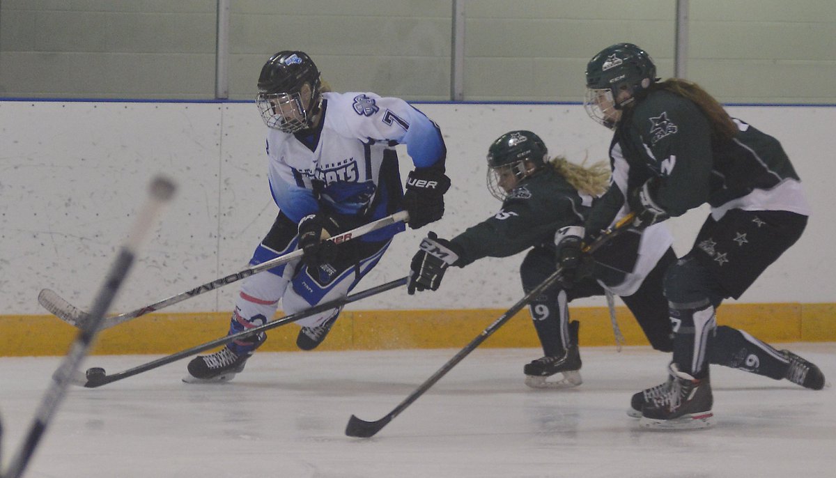 swbooster's tweet photo. .@scaaawildcats put season on the line at 7:45 FVW tonight versus Saskatoon Stars #packtheview https://t.co/adOHCnmmFh