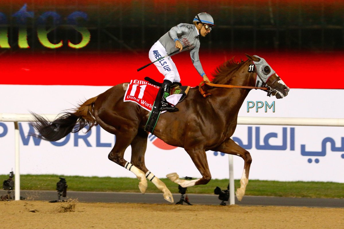 California Chrome – Dubai World Cup 2016