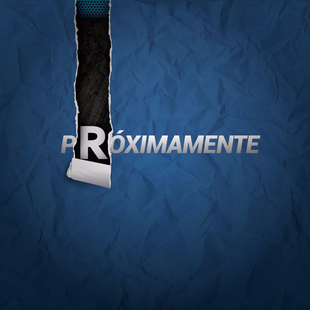 CodoniBruna tweet picture