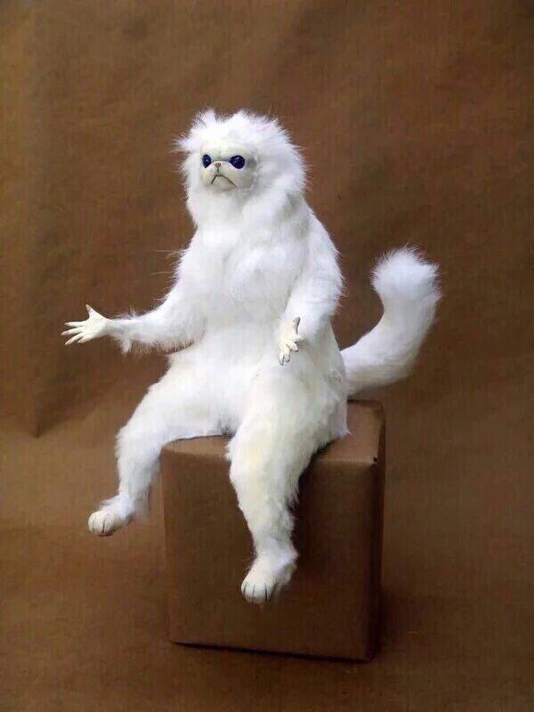 thefemaleboook's tweet photo. When your professor changes slides and you not done copying it down https://t.co/Oos1uGGNey