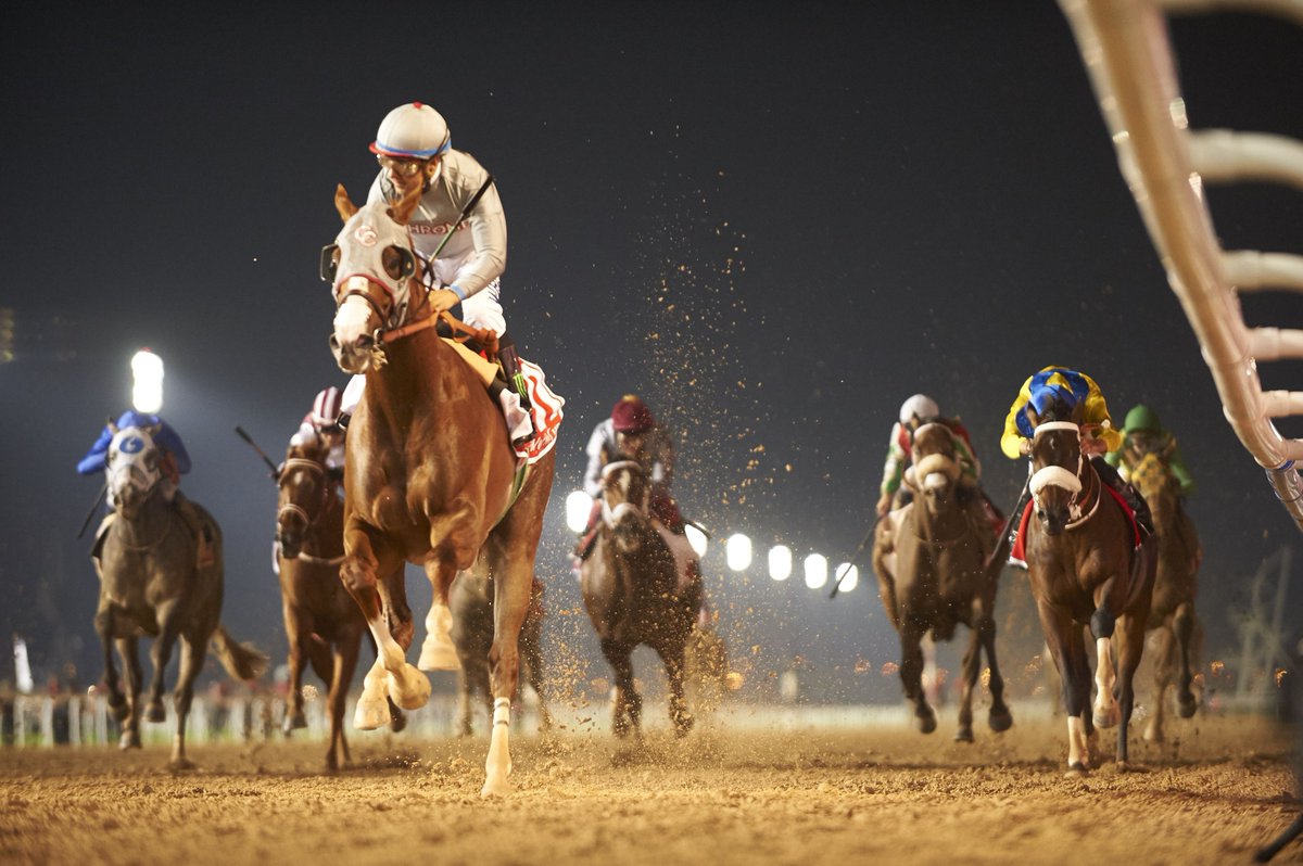 California Chrome - Dubai World Cup