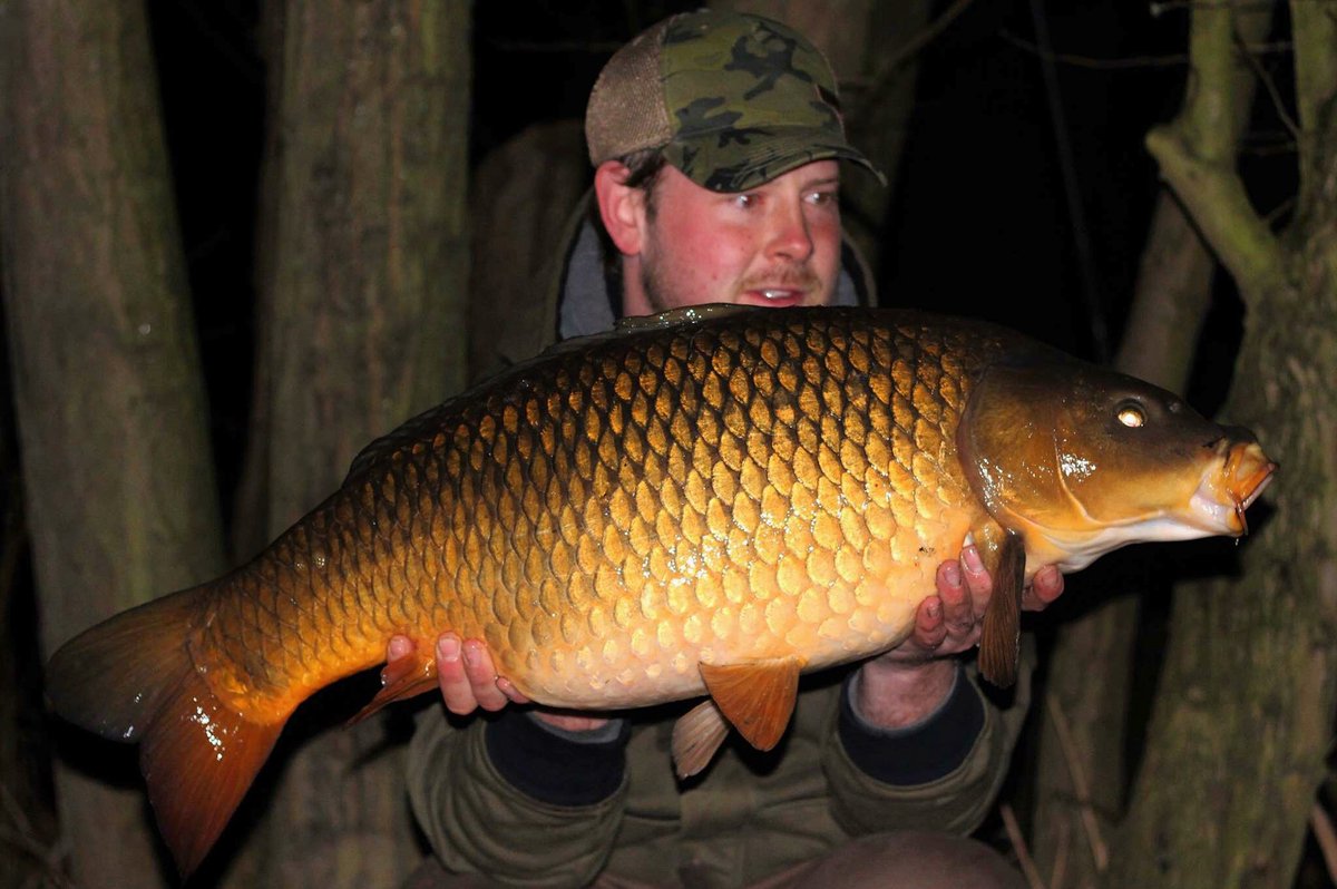 ryangibson1987's tweet photo. A pristine 25lb 12oz Common from early this morning.
#ccmoore #foxint #pacifictuna #armapoints #edges https://t.co/COr2E2WkJV