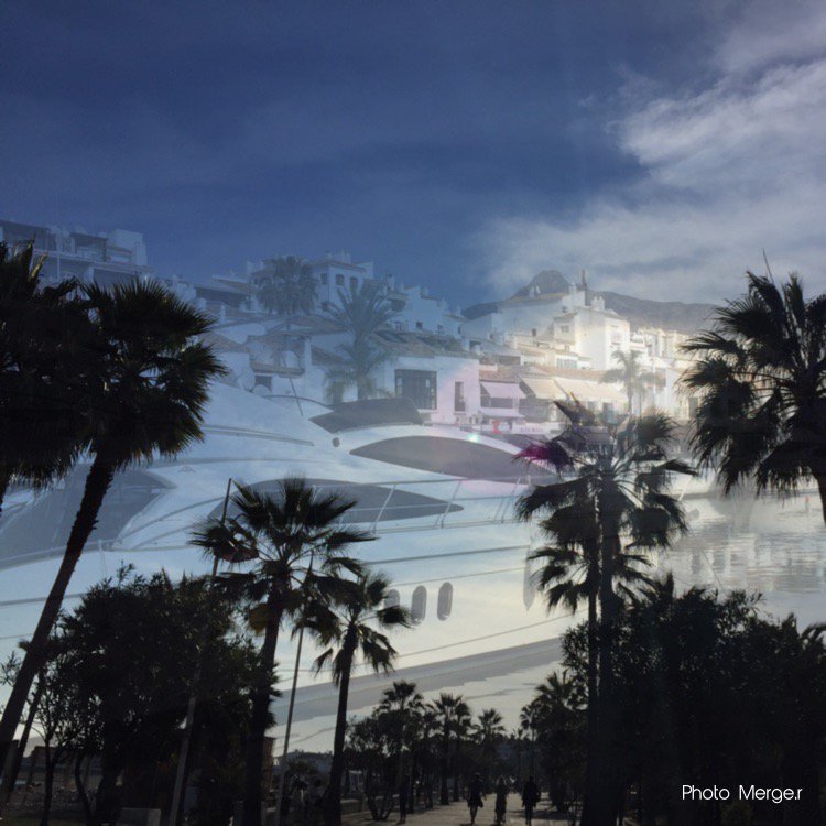 IntriguedBook's tweet photo. Love merging two faves! #palmtree #yahts @IntriguedBook https://t.co/ChykEeHo1l