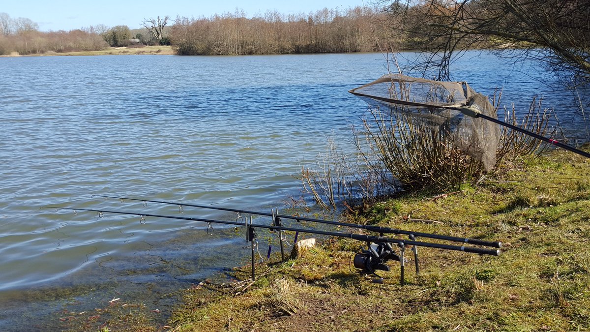 richard_handel's tweet photo. Lovely Sunny day yesterday #richardhandel #photography #baittech #godmanpva #assofishingline #fishtec #summittackle https://t.co/YoGTYKCHii