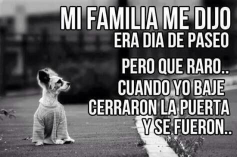 CanalAnimal's tweet photo. Se agradece ReTweet!! Por favor compartir y difundir!! https://t.co/RXqgOwp8xj