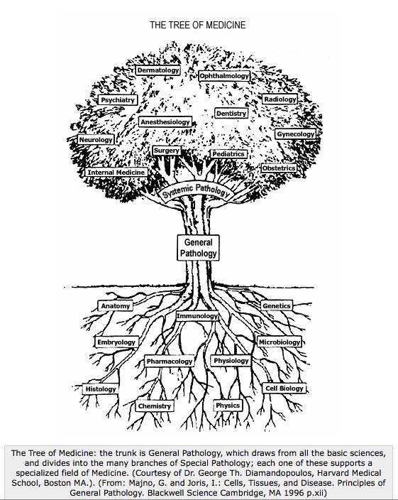 #pathology #medicine Pathology is the trunk of 