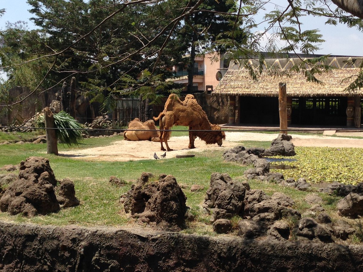 gerson_dleon's tweet photo. De paseo por el #ZoológicoLaAurora https://t.co/xgGL3vhTLR