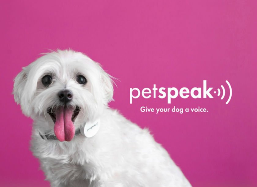 extragamersarg's tweet photo. https://t.co/WhYXUAWPgY tu perro no habla? con este #Gadget llamado #PetSpeak lo podes hacer posible!! https://t.co/TfTjgTgdBd