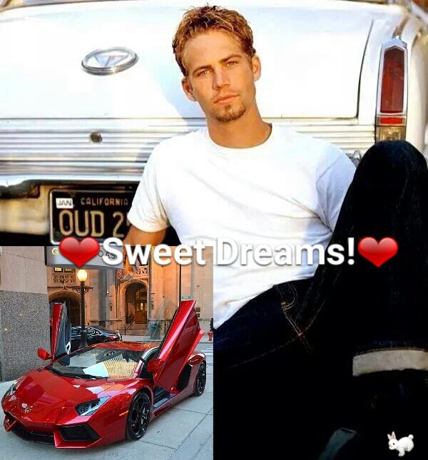 Lamboholic1's tweet photo. @Surfgirldeb @Crazycoquito @JanetPoland @RealPalomaSue @pwendlesslove @Estelamessenger @MonicaFacchin @TessaLova https://t.co/RKWMu75KXX