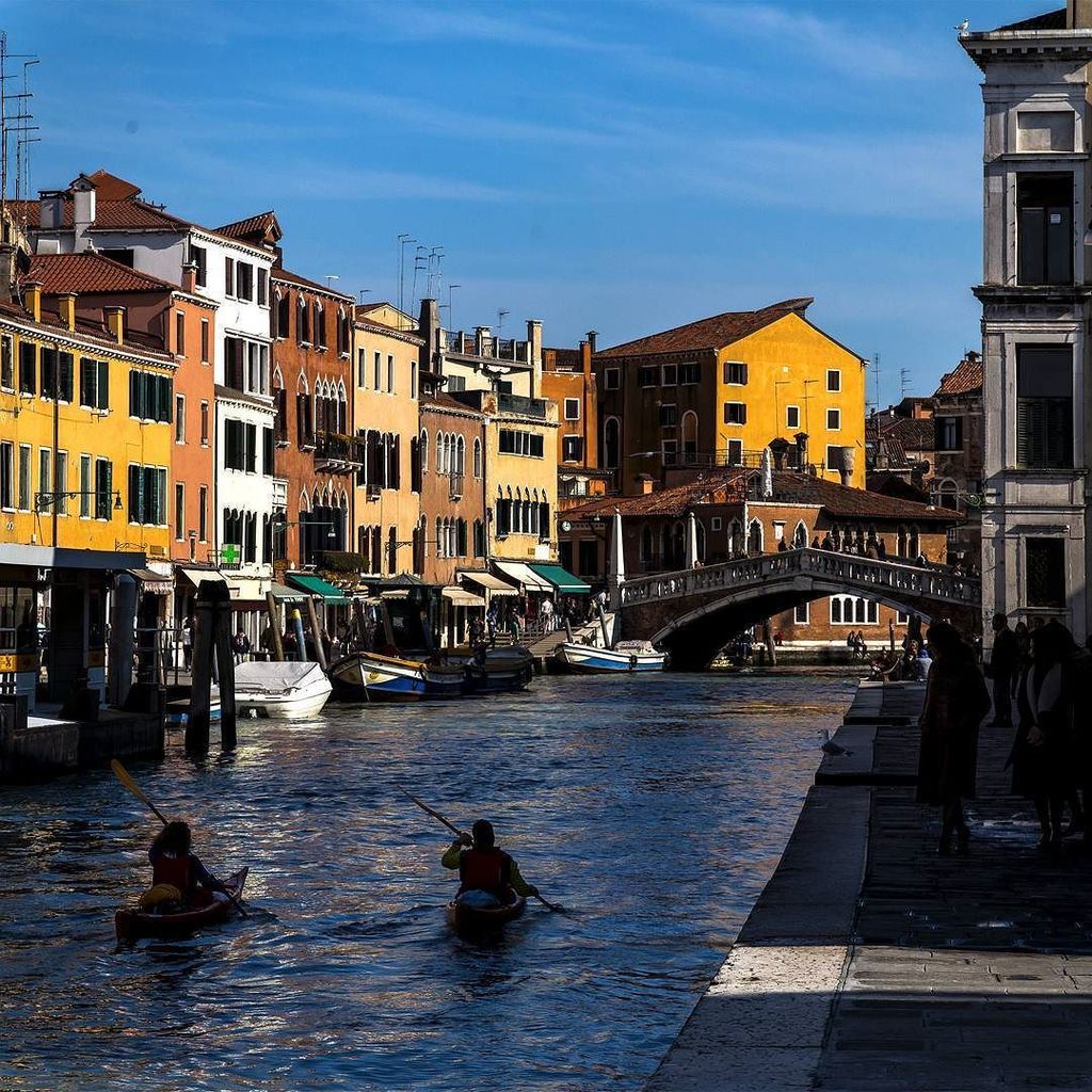 Venice tweet media