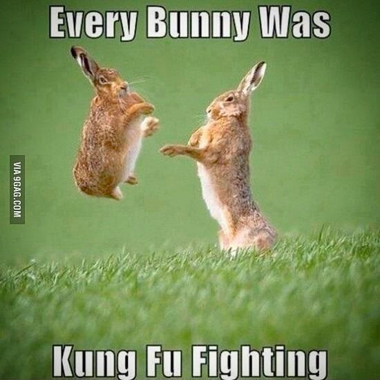 SmokeStash3's tweet photo. We're Open Until 9:00 PM Tonight; SmokeStashWillBeClosedEaster! #HappyEaster #HaveASafe&BlessedHoliday #SeeYouMonday https://t.co/xl4tYNRSFk