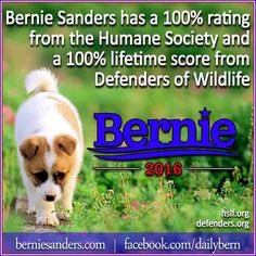 Jedi4Revolution's tweet photo. #StillSanders #VeterinaryNurses4Bernie #HumaneSociety #CaucusForBernie
#Animals4Bernie #BirdieSanders #NotMeUs https://t.co/coX7vYUG7j