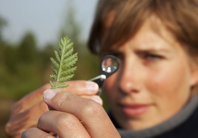 PlanetGreen's tweet photo. 9 women you've probably never heard of who've made conservation history https://t.co/nrZ7CrKVwB #WomensHistoryMonth https://t.co/rugGQy2UBJ