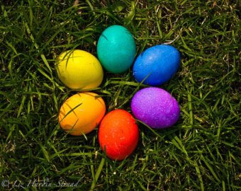 LGBTQ Shrink tweet media