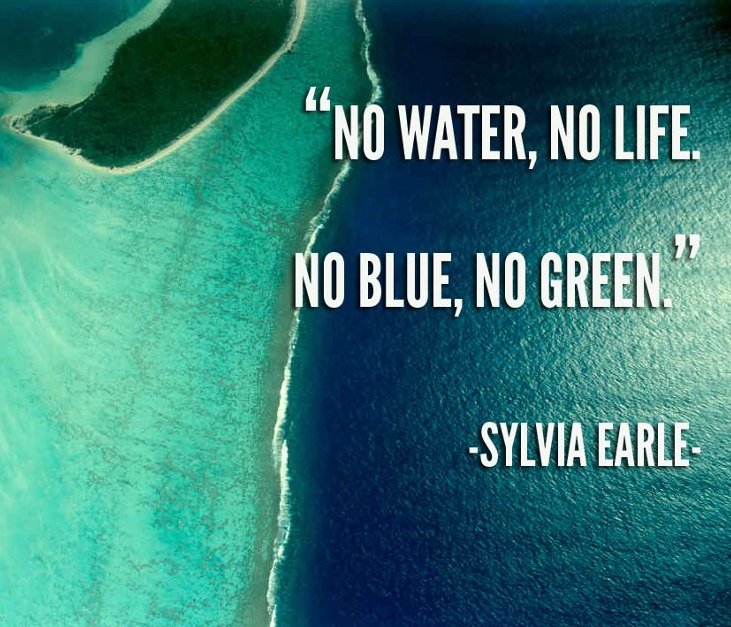 SylviaEarle tweet picture