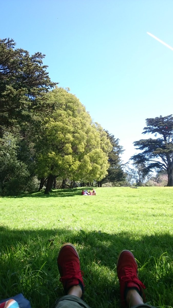 toshi_otsuka's tweet photo. これだけでも来たかいがある #SFnow #GGPark https://t.co/ZSQenKZZn6