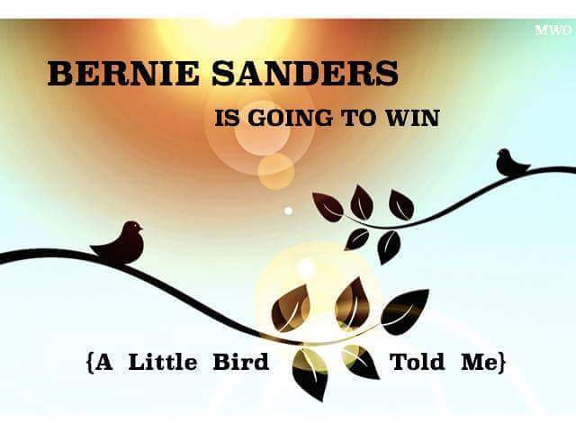 thejeffy84's tweet photo. #BernieSanders #NotMeUs #Feelthebern ##BirdieSanders #Birds4Bernie #Feelthebird #AFutureToBelieveIn #StillSanders https://t.co/YycjKbxVlc