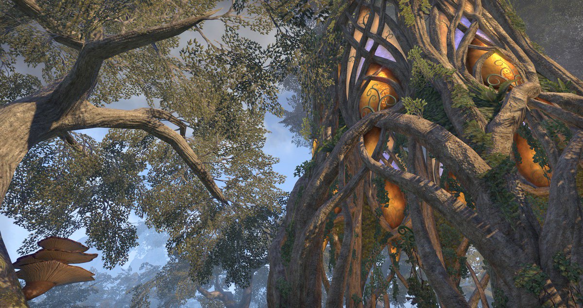 Ukhlog's tweet photo. Silvenar, Malabal Tor. #HasItStoppedRaining #ESOTU @TESOnline https://t.co/ablDzfaCki