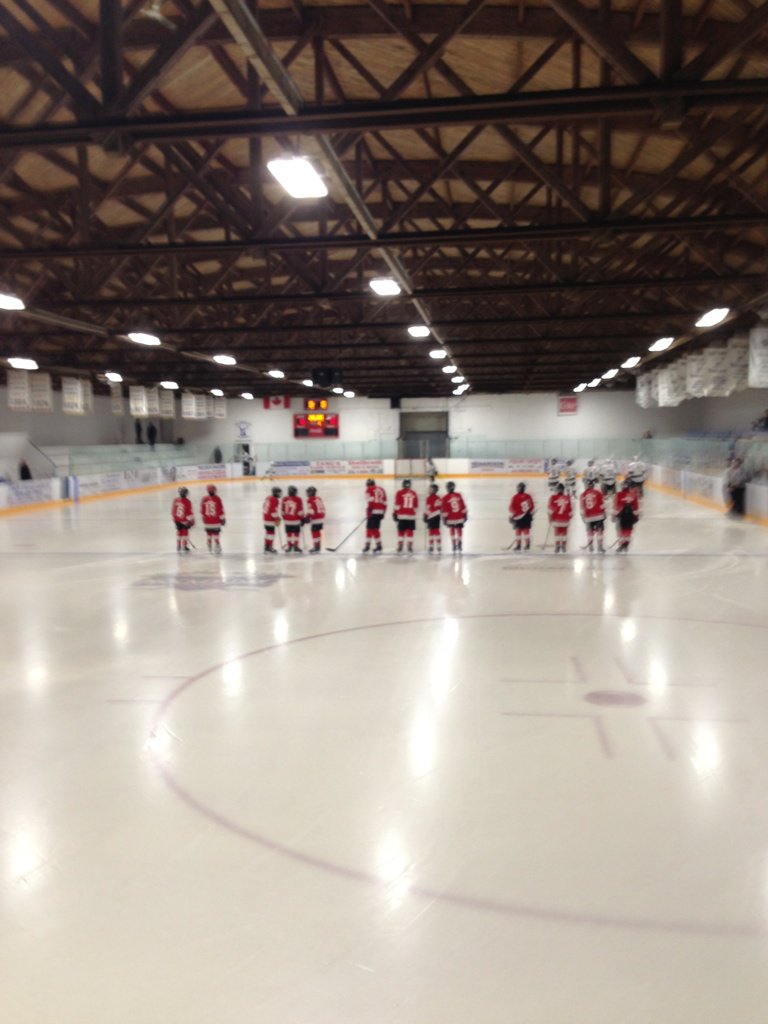 DNRieger's tweet photo. Player intros.....#LetsGoRed #PeeWeeProvBFinal #MiniWings https://t.co/g2M3n8A4q4