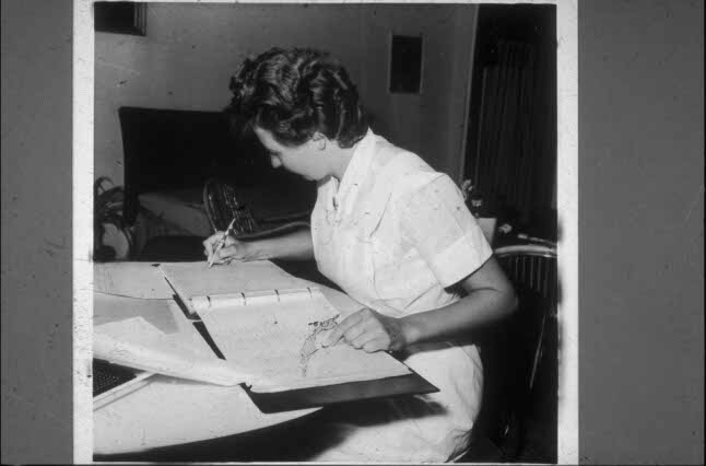 Constance v Aerdenne tweet media