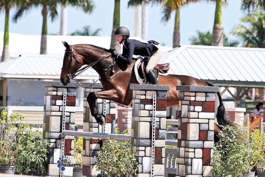 EquitationBetch's tweet photo. #SmartPakPhotoFeature because I'm not sure where I'd be without this princess by my side 🎀👑💗 https://t.co/YfgzCk3BfC