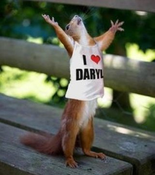 I ❤ #DarylDixon ! Bring on #TWD Sunday! @wwwbigbaldhead #NormanReedus #squirrel #SquirrelsGoneWild