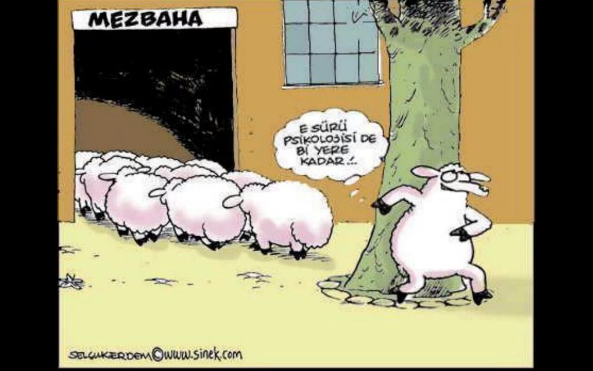 Can Derdine Düşen Sürüden Kopmaya Başlar
İlk Kim Kaçacak Merak Ediyorum :)
REZAsatar HIRSIZkaçar