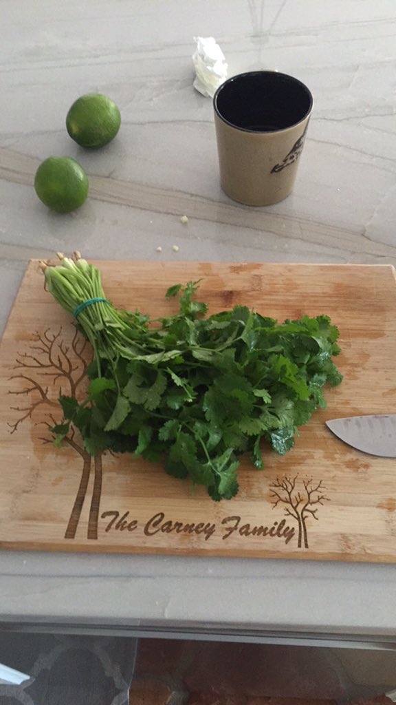JakeSurfs's tweet photo. Cilantro has way more sprouts than my bald head #eitherloveitorhateit #liveguac https://t.co/f1BMwVrE5b