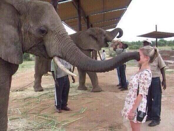 curtislepore's tweet photo. When Someone keeps on bragging https://t.co/NLDcqgdDZc