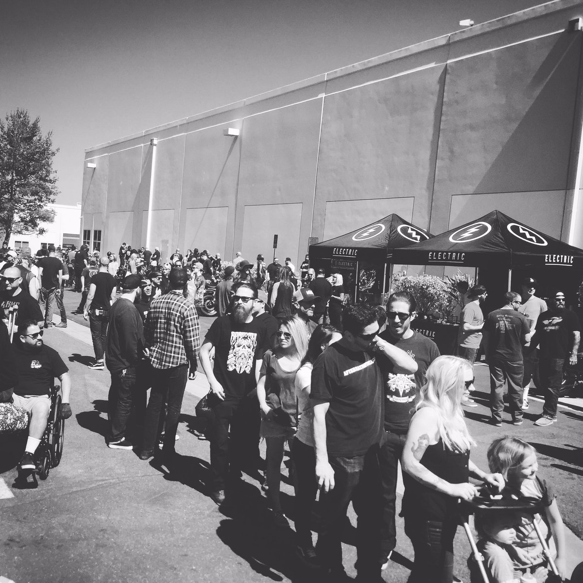 MottaCycles's tweet photo. #bornfree #preparty #motorcycle #bobber #bikebuilder #805 https://t.co/VidShMVl4r