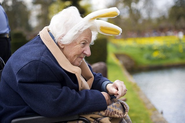 Ome Bert tweet media