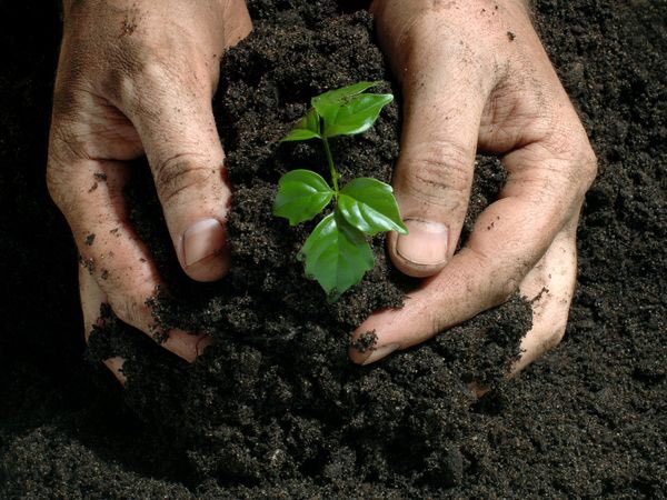 jason_shar's tweet photo. When life gives you shit, use it to fertilize your next big thing. #ambition #USMC https://t.co/Yf5tZiZR2O https://t.co/XlxHBe4Ok0
