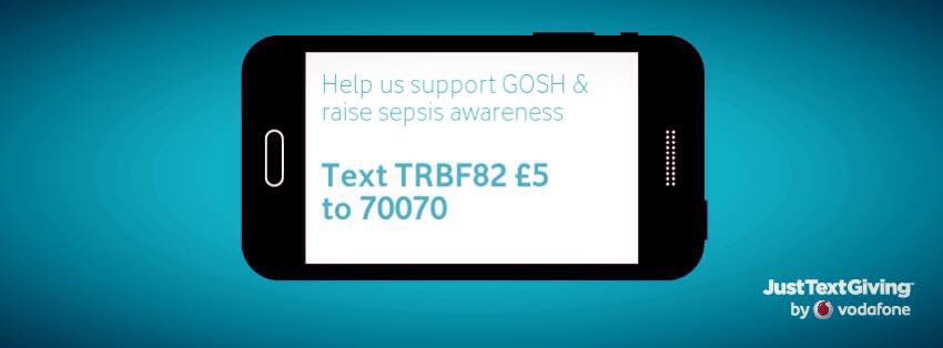 Remember_Tyler's tweet photo. Help us support @GreatOrmondSt and raise #sepsis awareness at our #charity fun day tomorrow! #remembertyler https://t.co/DpnBwQTOfL