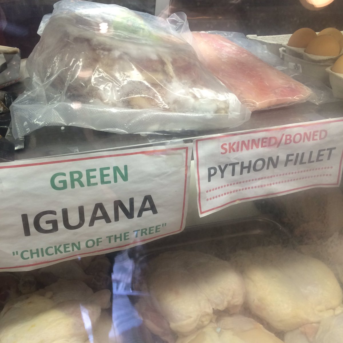 cheeseplatepapi's tweet photo. I 💚 weird meat stores #chickenofthetree https://t.co/hzkEPuUWeO
