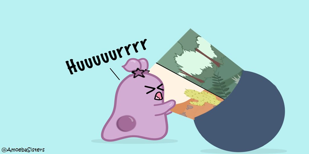 Amoeba Sisters on Twitter ecosystems, & biomes oh my! 