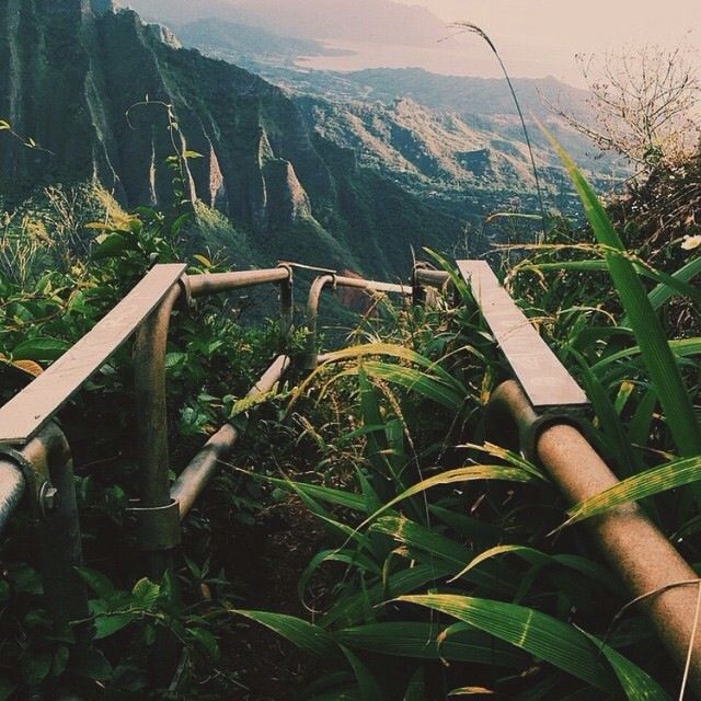 picsplaces's tweet photo. #Green #The-World #Xxx #amazingplaces https://t.co/s8k9Ts6Sn8 >> let's roam the world Ғaѕт Doeѕ, Doeѕ Тнe ... https://t.co/uDbSfPtKxt
