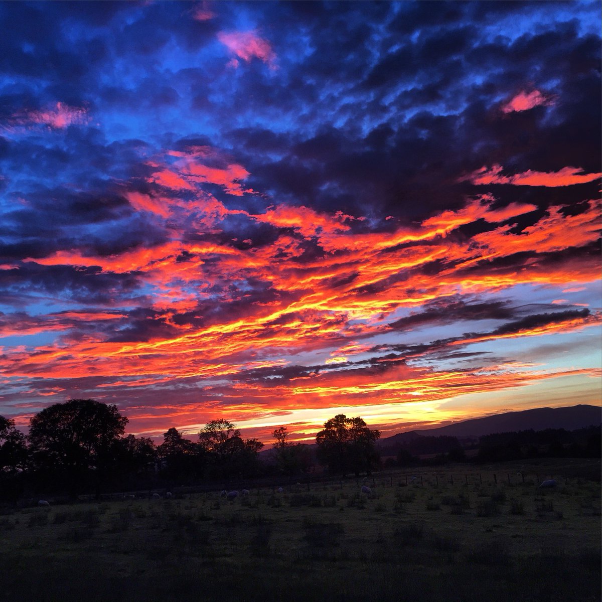 Gorgeous pic taken by one of our guests! #lochlomond finnichcottages.com