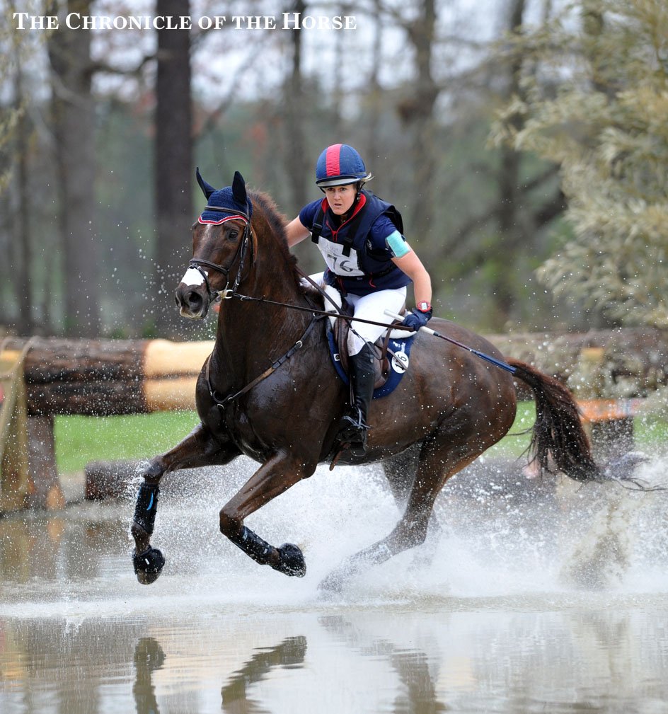 ChronofHorse's tweet photo. Here's your CIC*** winners! Stay tuned to https://t.co/39vAhRp6Of for the story. #2016CI https://t.co/w6dSUTcIYj