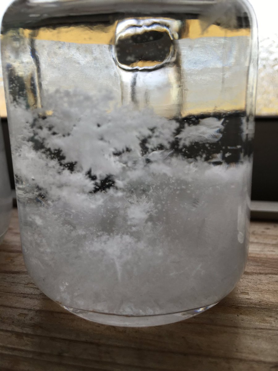 今日の天気管。モケモケとこなこな。
本当に不思議でかわいい。

#天気管