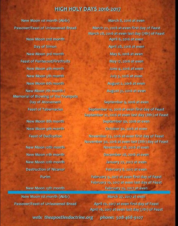 devine144's tweet image. 