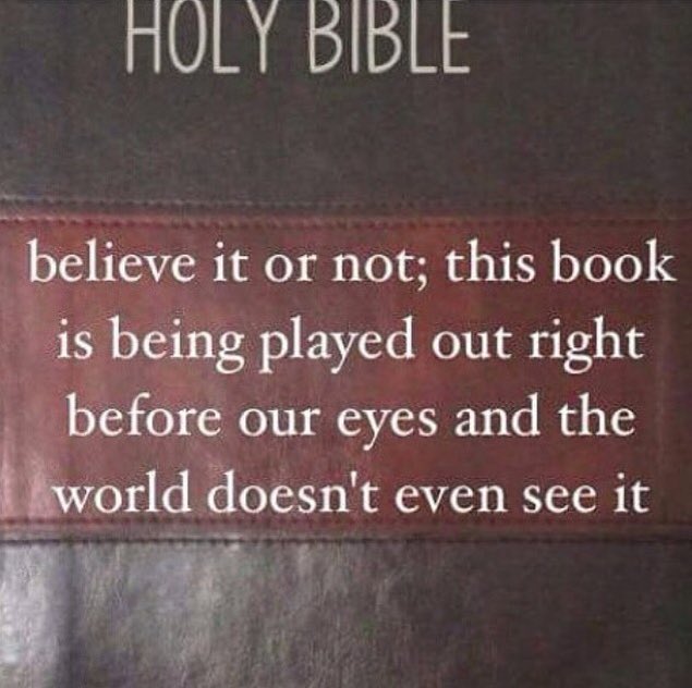 devine144's tweet image. 