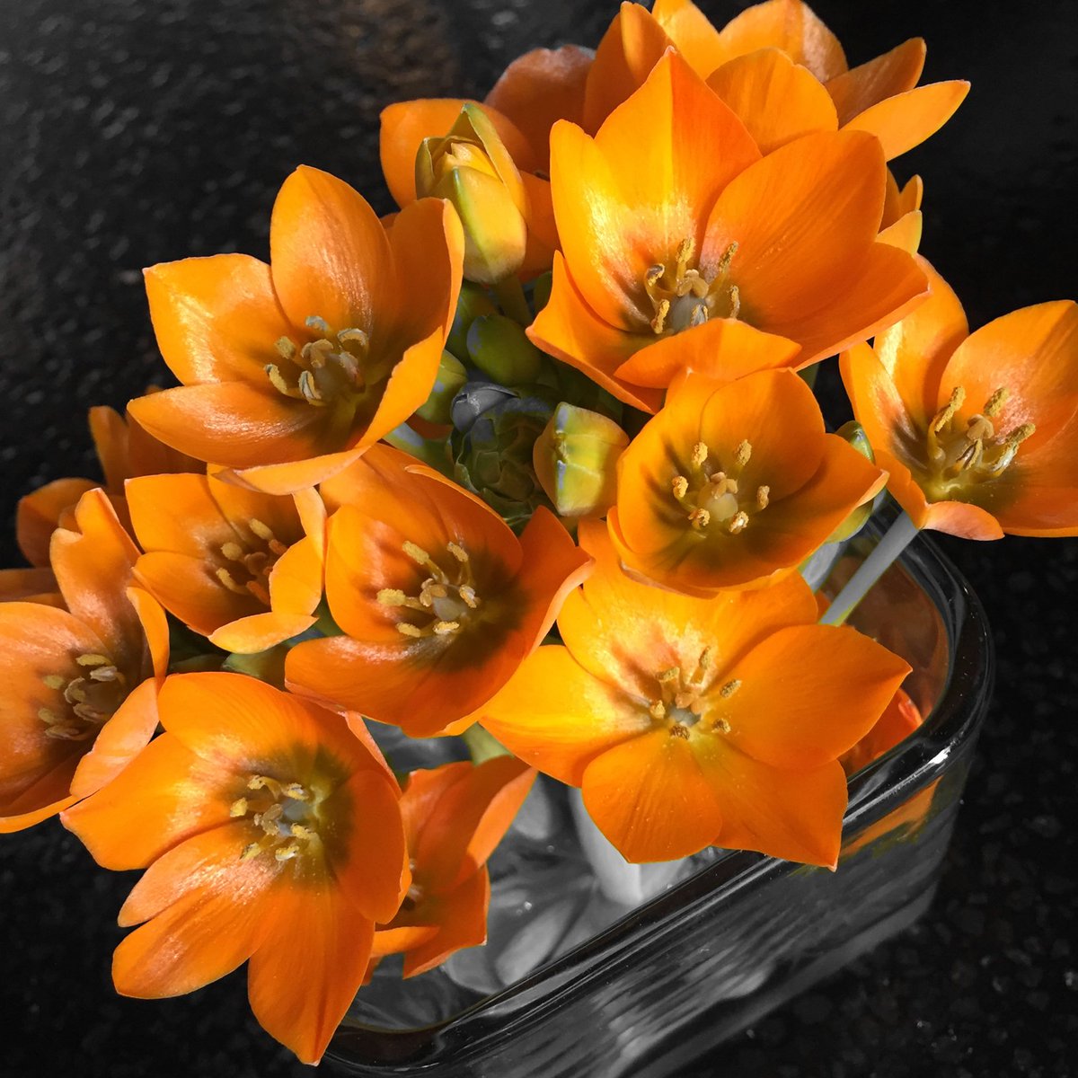 ShowAndHide's tweet photo. Flowers! #showandhide https://t.co/uKWCruz0Um https://t.co/bvtLIykuSX