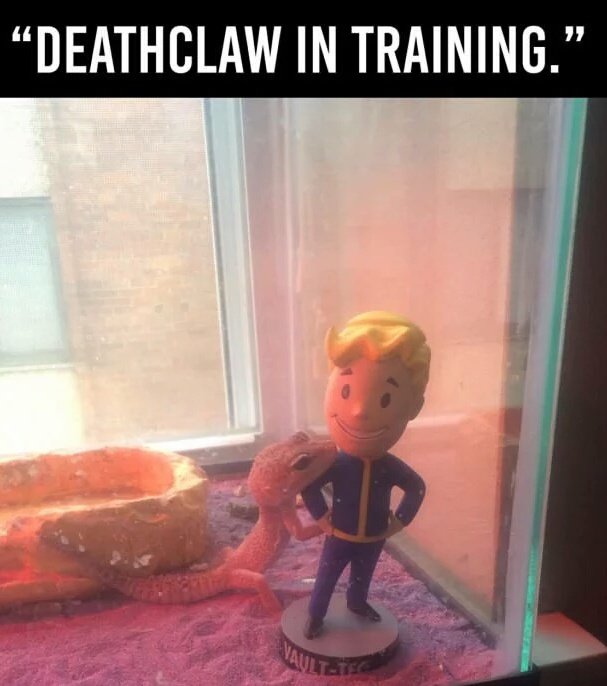 Deathclaw's tweet photo. Raise them right https://t.co/mxjogiaH66
