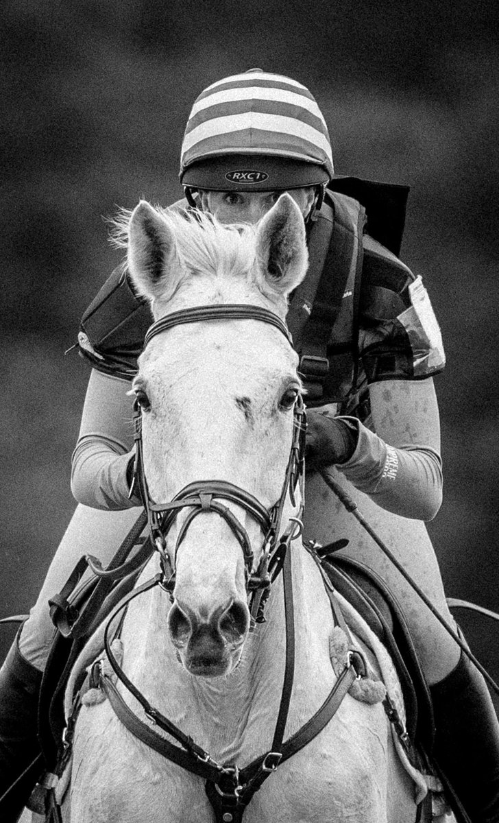 Olivia Wilmot and Cool Dancer at Burgham 3* <a href="/advrolldrs/">Advanced Roller Door</a> <a href="/haddoweventing/">Olivia Wilmot</a> <a href="/horsescotland/">Horsescotland</a>