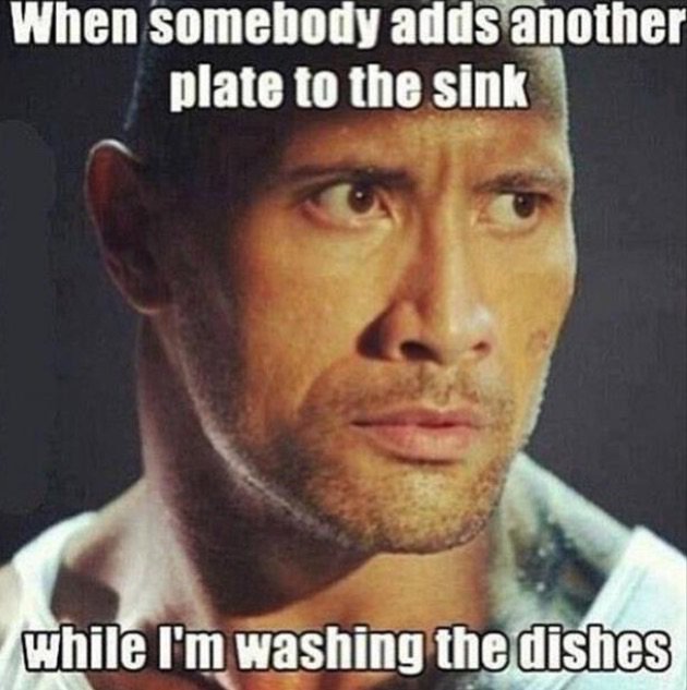 ApriL the cat tweet media