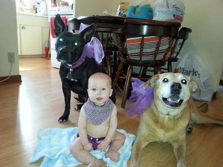 goetheyn49's tweet image. #epilepsyawareness  supporting a cause dear to all our hearts love my baby girl she's in pic2 with papa and bro