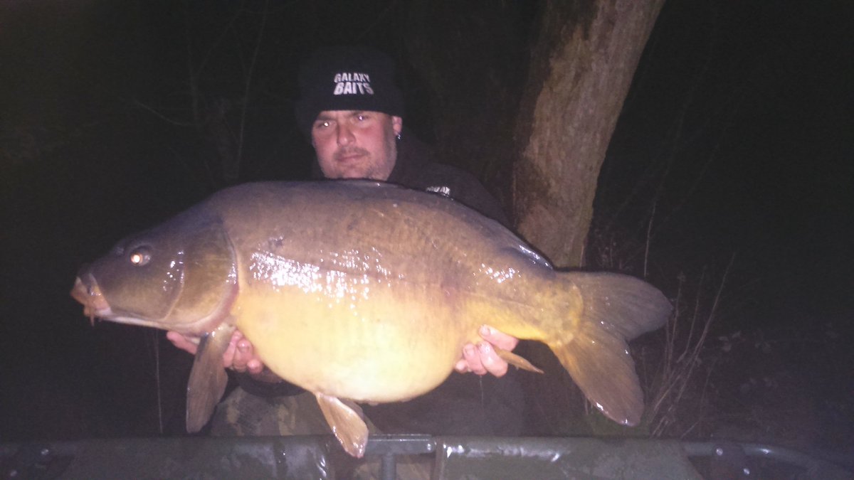 DannyCallis's tweet photo. Just had this 25lb mirror on a new test bait from  #galaxybaits and end tackle from #sharptackle https://t.co/YuNYrVk4n9