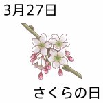 mr_hakamata's tweet photo. おはようございます☆

3/27(日)、本日3/27は、日付から『さくらの日』と定められています(*^^*)

Mr.Childrenファンには、桜井さんの御名前を連想する日ですね(*^o^)／＼(^-^*)
(RT希望です) https://t.co/LFZW3rjBZg