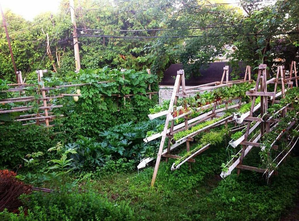 A look into @theplantcharmer's backyard supermarket ift.tt/1ZFrZCH