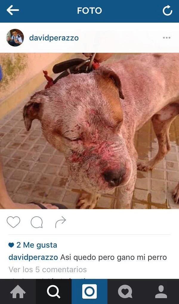bbyauron's tweet photo. por favor difundan esto y por lo menos hagamos que le cierren el instagram. Como puede existir gente asi Dios https://t.co/uVIl0MdFCm